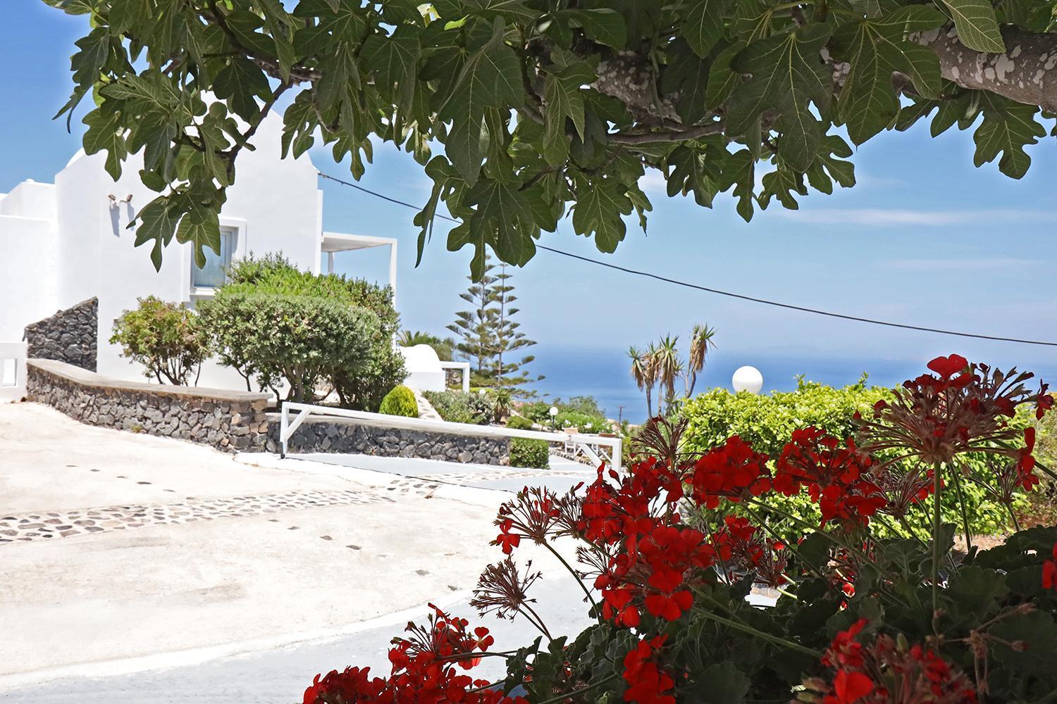 Phaos Santorini Imerovígli